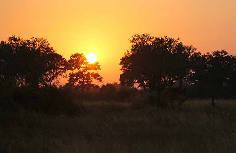Beautiful sunrises in Kruger