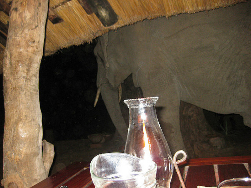  Dinner With An Elephant