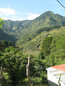 Beautiful Tail fo the Monkey Cerro behind hostel