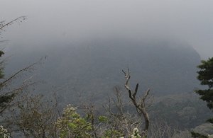 Cloud Forest Above The Hostel