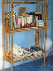 Cat in a shelf