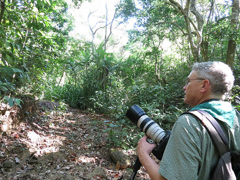 Rob Malone, Jungle Photographer