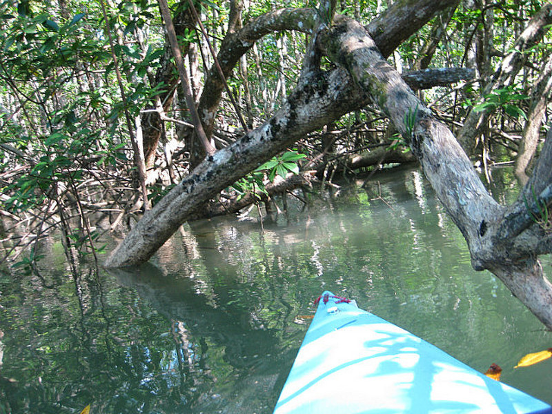 Kayaking Osa Peninsula