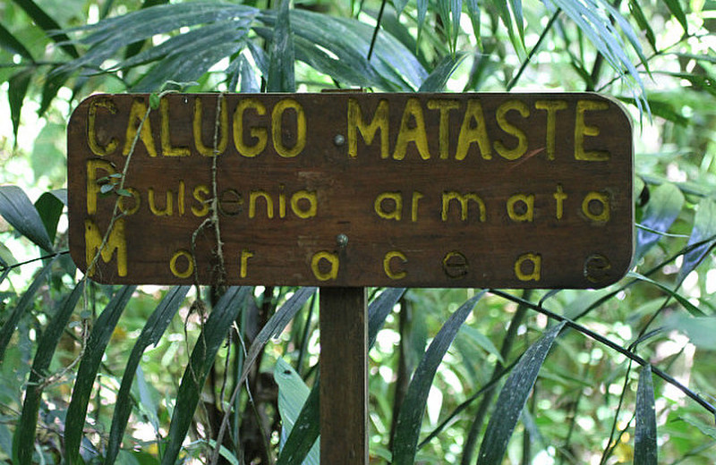 Private reserve in Manuel Antonio