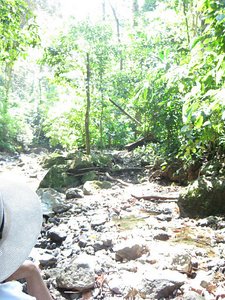 Beautiful Private Reserve Hike in Manuel Antonio