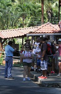 Tourists coming back from the Manuel Antonio NP
