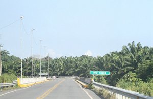 Road to Rio Trigre and Dos Brazos Via Palma
