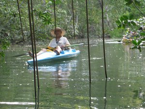 Kayaking up the mangrove rio