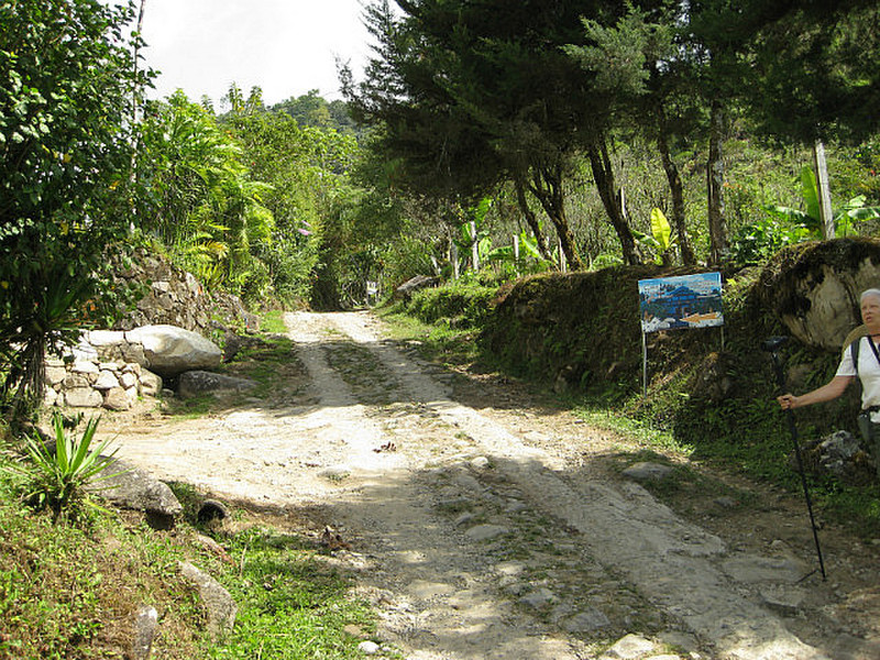 road up toward Talamanca Lodge and Cloudbridge