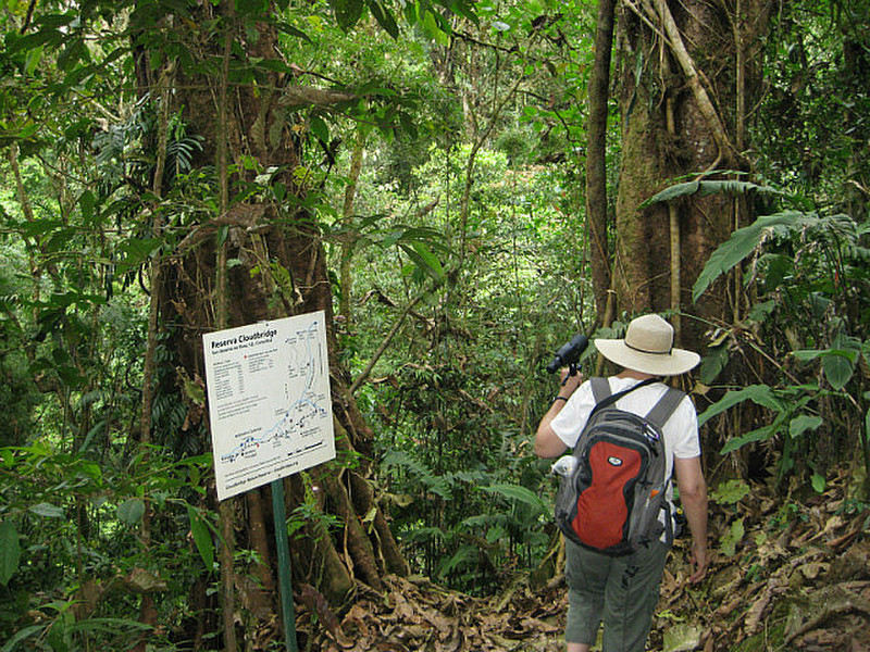trekking through the jungle on way to waterfalls