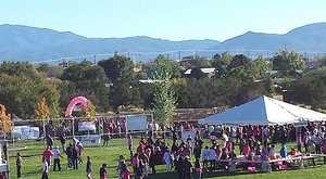 Katherine and the Walk for the Cure