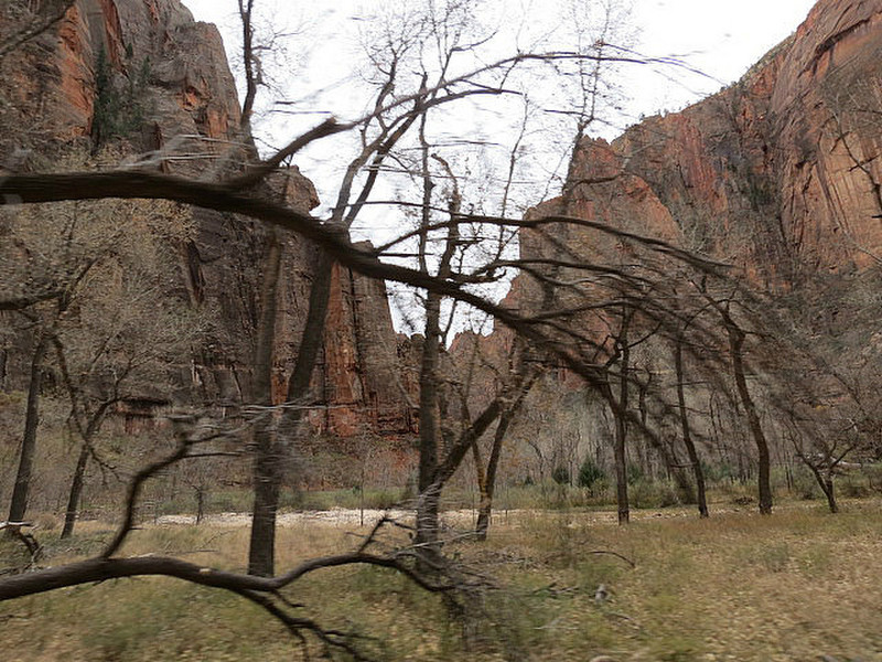 Upper Zion Canyon