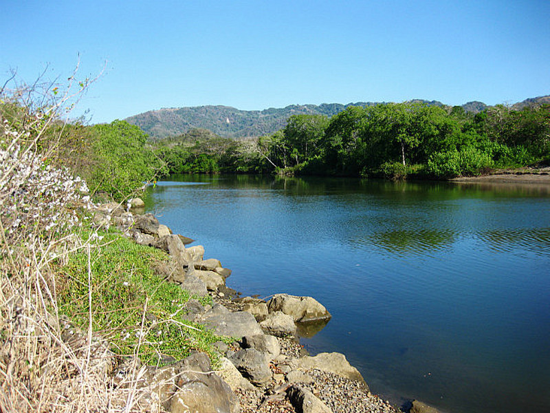 Rio Panica near where it enters Ballena Bay