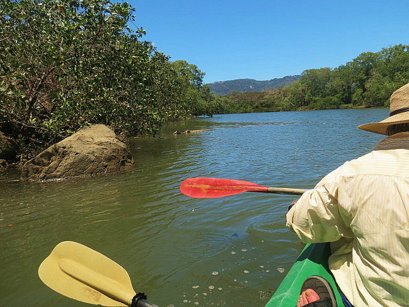 Paddle trip #2  up Rio Panica