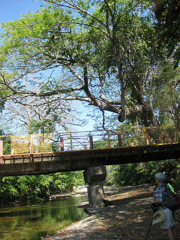 Puente Rio Lajas