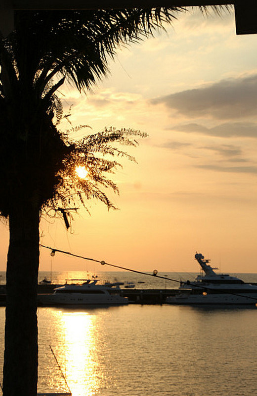 Pez Vela Marina for Sunset