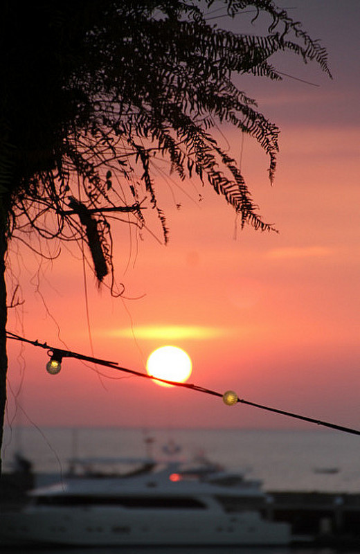 Pez Vela Marina for Sunset