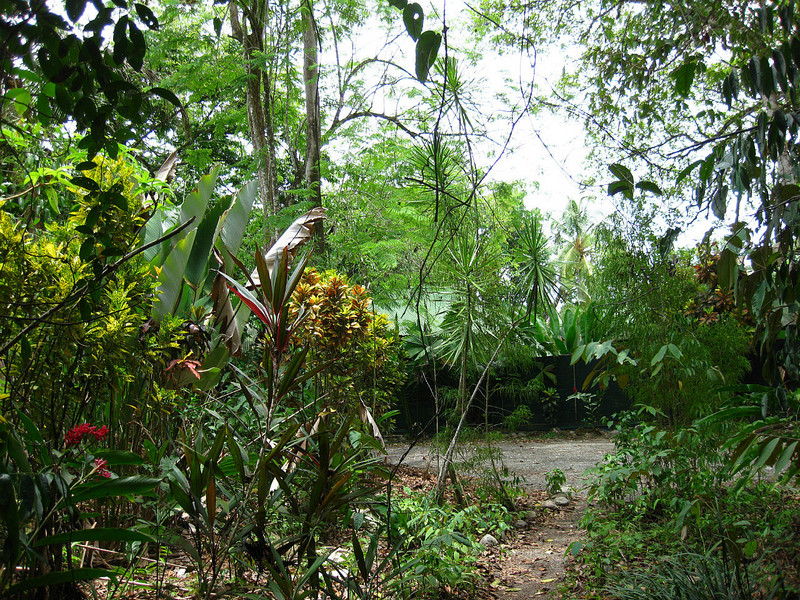 Nature hike from Cabinas Tropicales