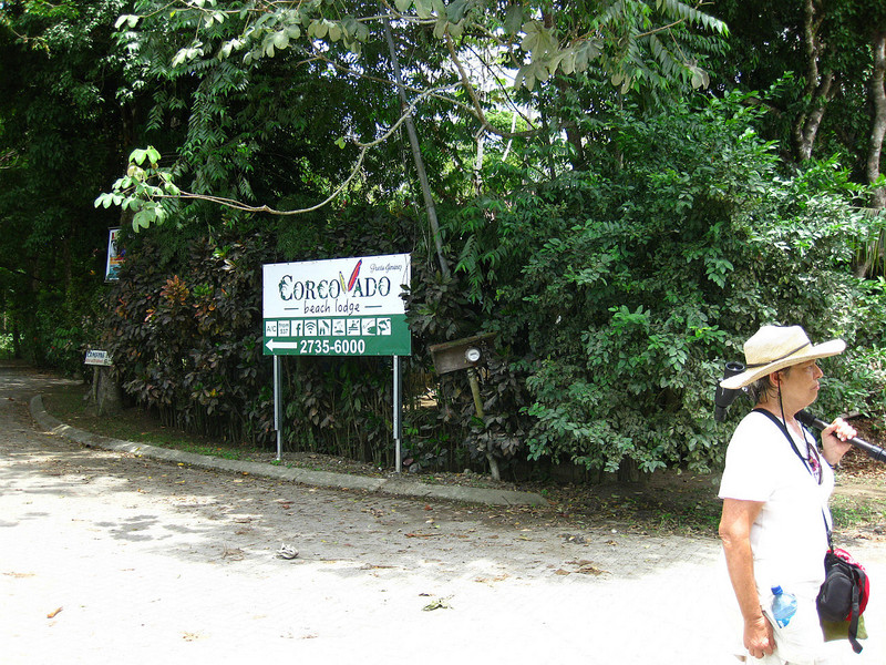 Nature hike from Cabinas Tropicales