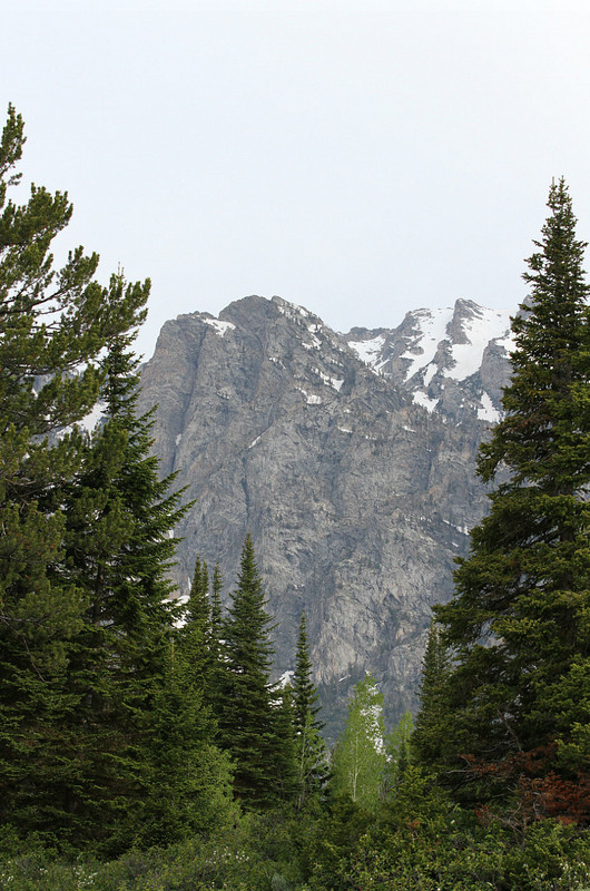 Grand Beauty of Grand Teton