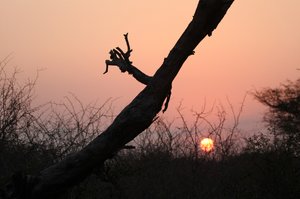 Late Drive Mystique Kruger