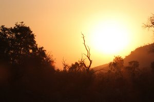 sunset over the Kruger