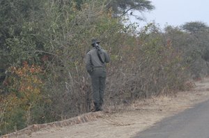 Scout walks back to Letaba from construction site