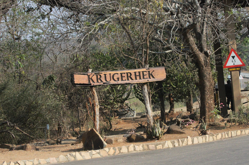 Paul Kruger Gate drive