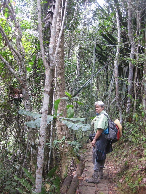 Louvelli trail guided nature walk at Mitsinjo Geno