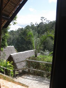 View from bungalow at Feon&#39;Ny Ala