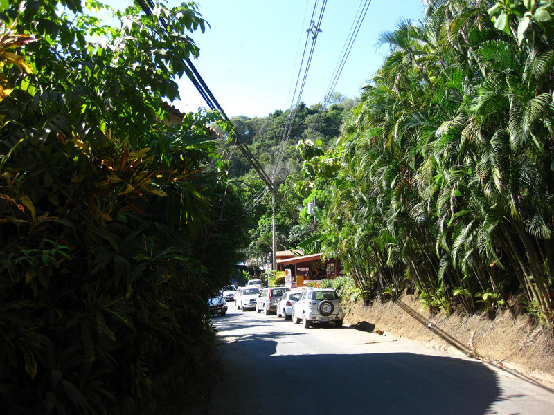 Walking downhill toward Montezuma center