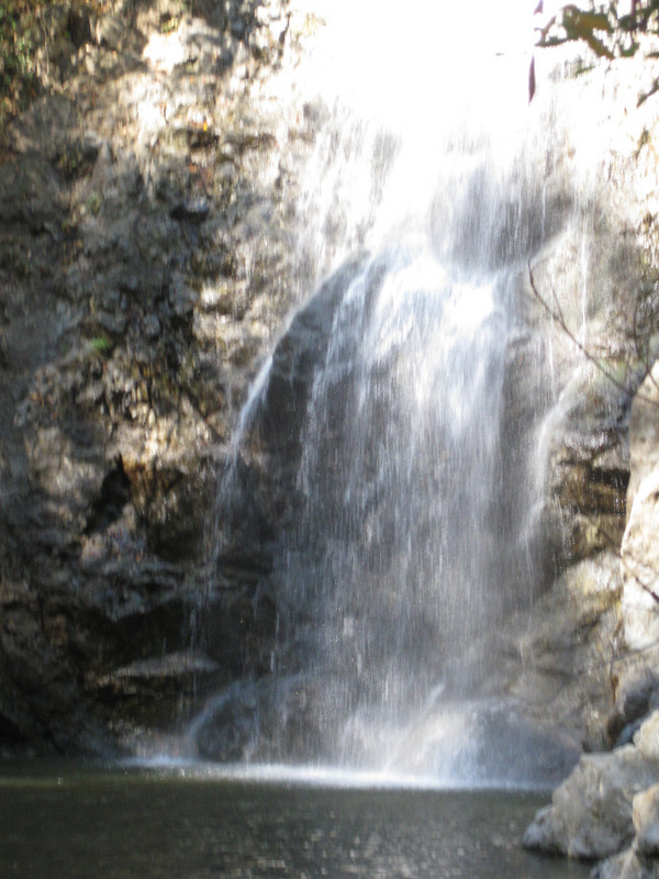  Beautiful Montezuma Waterfall and Pool