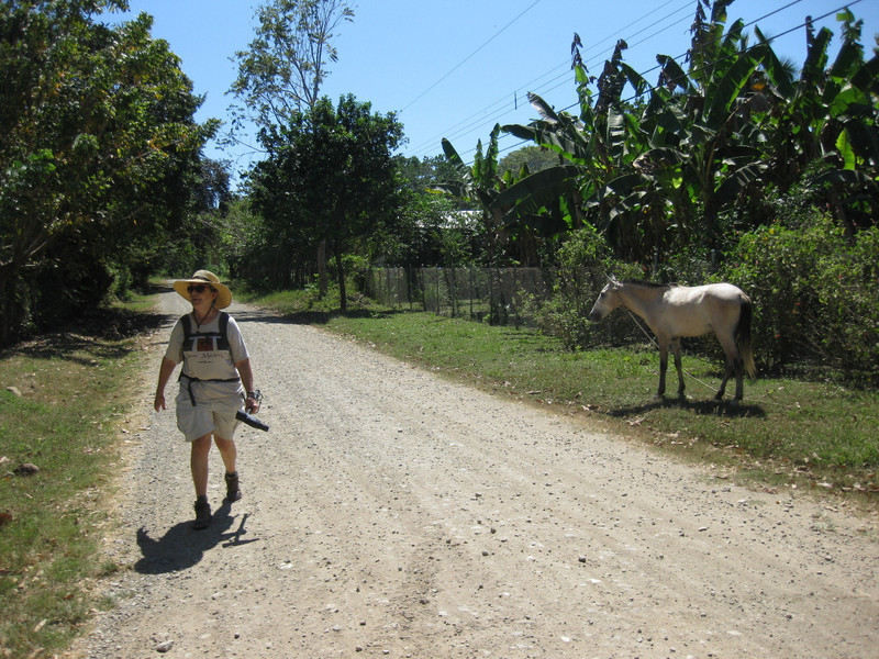 Walking back to Cabuya from Cabo Blanco NP