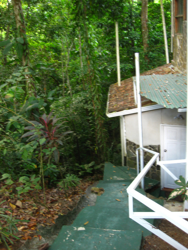 Thierry&#39;s great AirBnb outside Quepos