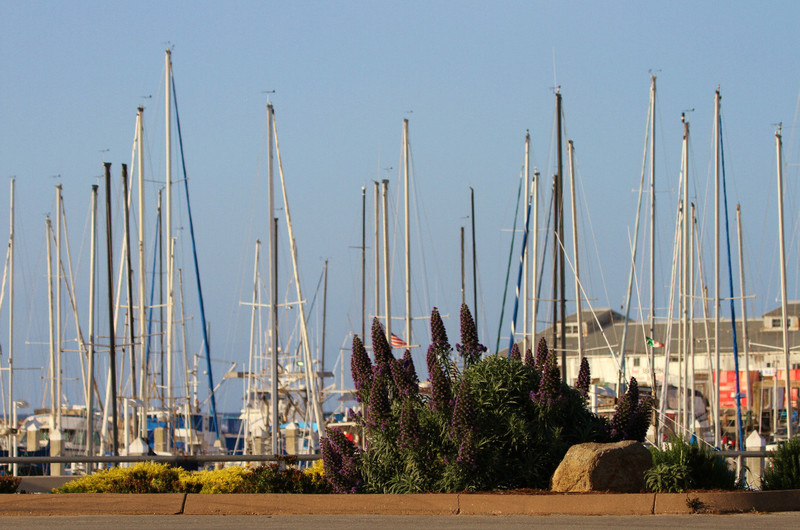 harbor scenes