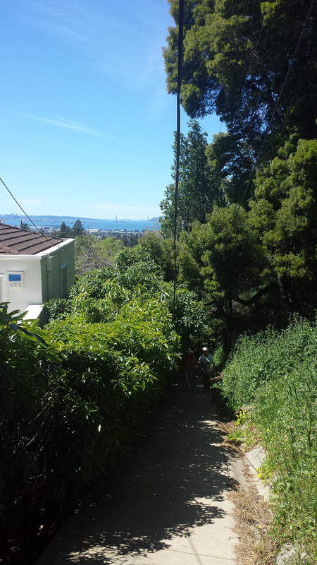 Hiking around hills of Berkeley