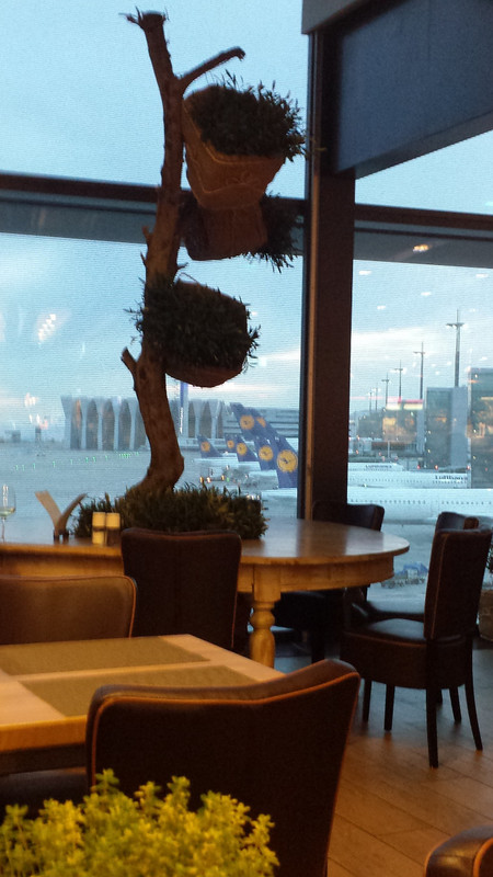 Frankfurt airport at Lucullus Nero restaurant