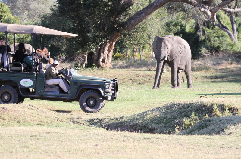 am game drive adventures