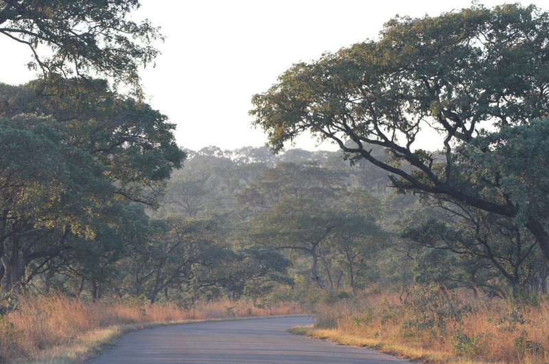 Driving into Kruger at Sunrise