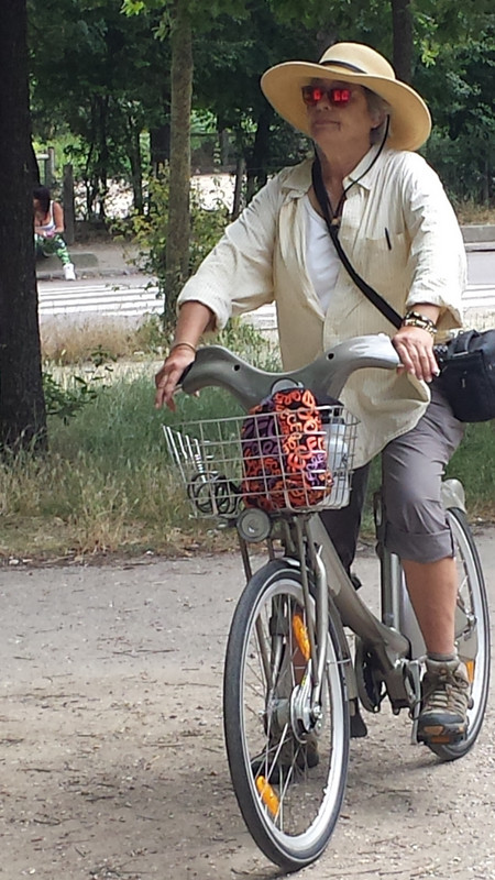 Bike Renting in Paris