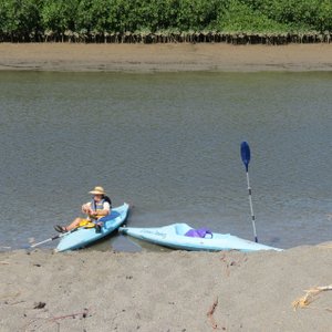 kayaking in the manglar