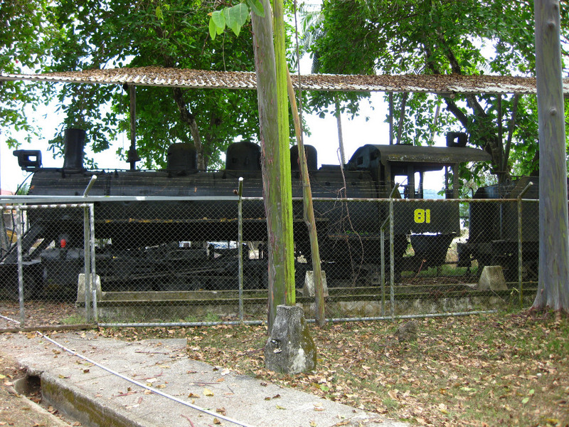 Old train from Banana growing time
