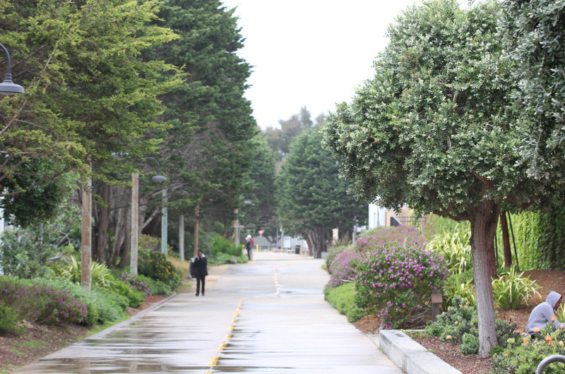 Monterey Pacific Coastal Trail 