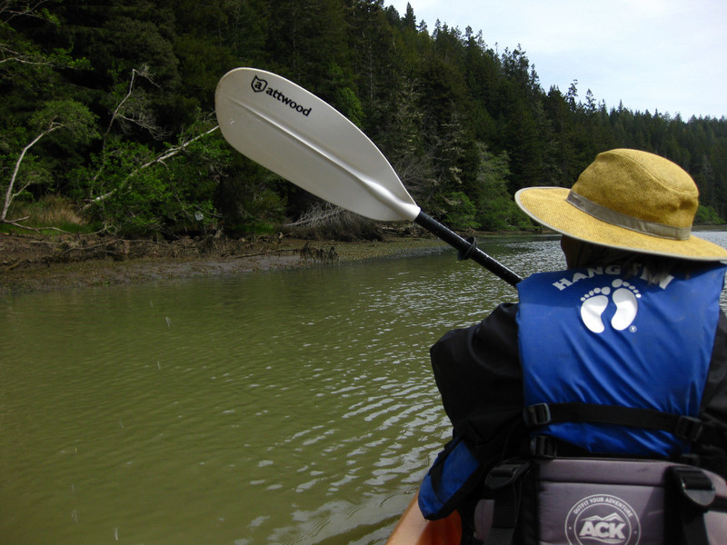paddling up the Albion River