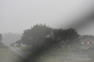 rain and fog and beautiful scenery