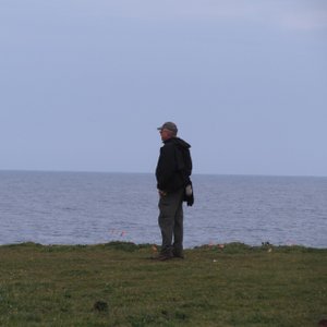 Robert looking for the whale spouts