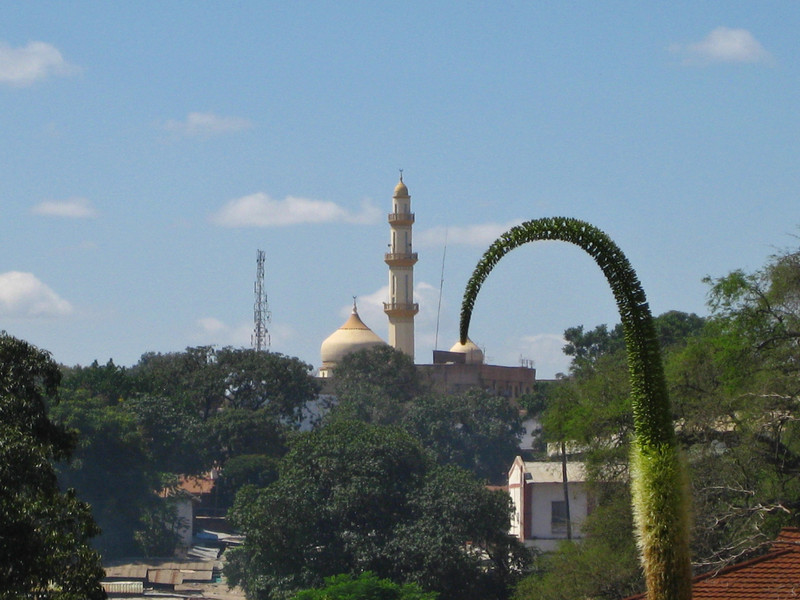 mosque and flowers