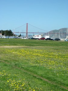 Park on the waterfront in San Francisco