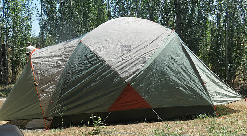 tent set up near the trees