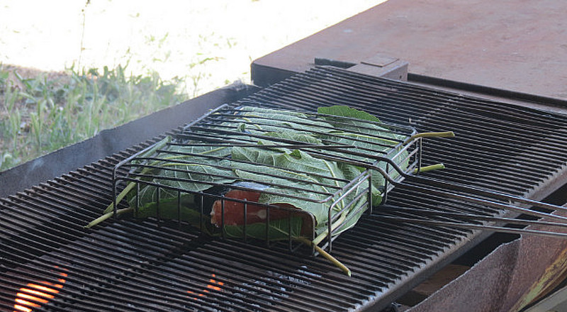 salmon wrapped in fig leaves